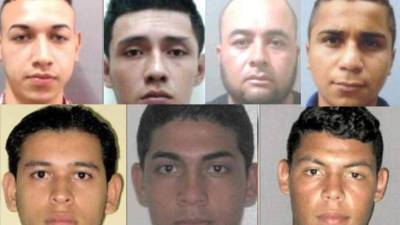 Rostros de los siete sospechosos del delito de tráfico dr drogas.