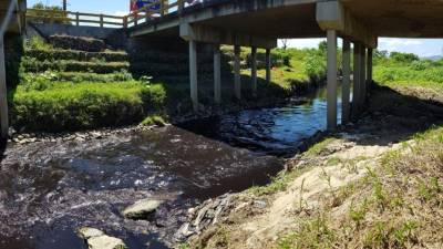 Las aguas negras siguen cayendo al río Chamelecón y la contaminación cada día es mayor.