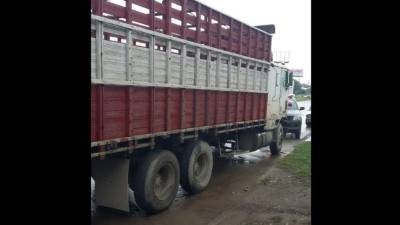 A la unidad le robaron cuatro llantas del eje trasero.