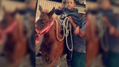 La familia de Jonathan Martínez compartió fotos del niño con los medios de comunicación estadounidenses.