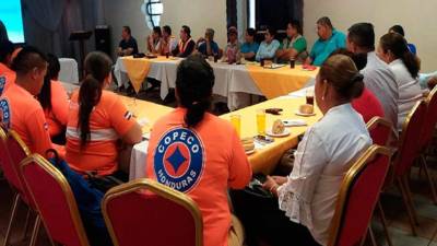 Imagen de referencia de personal de Copeco, una de las instituciones del Gobierno.