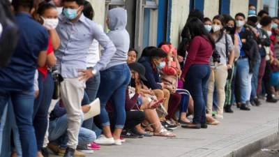 Decenas de jóvenes hondureños hacen fila para entregar papeles en una empresa privada y optar a un empleo en Tegucigalpa. Foto EFE