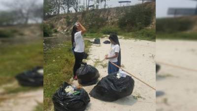 Actividad. En la limpieza participaron 25 voluntarios.