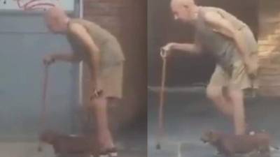 El perro que cuida su ama y arma de paciencia.