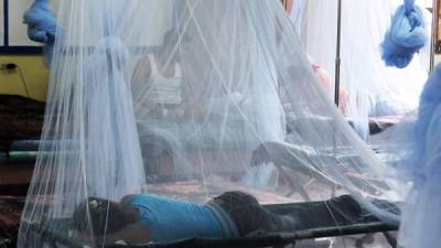 Sigue en aumento los casos de muertes por dengue en ocho meses del 2019. Foto EFE
