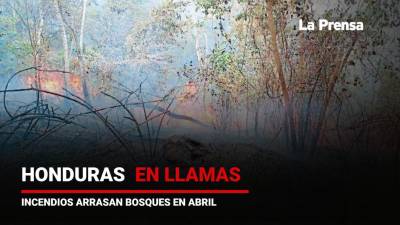 En un mes totalmente seco y con altas temperaturas, las zonas del oriente, centro y sur de Honduras fueron vulnerados por una enorme cantidad de siniestros.