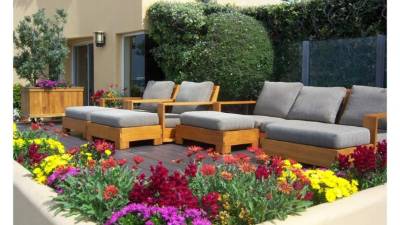 Limpia la flor y quítale las hojas secas, ya que la suciedad puede contaminar con bacterias el agua.