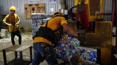 Trabajadores de una empresa de reciclaje en Tegucigalpa.