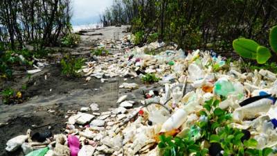 Las costas hondureñas siguen siendo contaminadas por desechos que arrastra el río Motagua desde Guatemala.