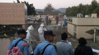 Elementos del Cuerpo de Bomberos alejaron a las abejas con humo de fuego.