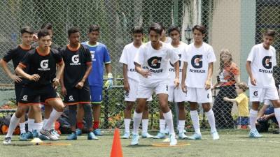 Los chicos tendrán un tour por la ciudad, el segundo día van a conocer todo el complejo del Barcelona, y el tercer día comienzan los partidos, que serán de tres días de competencia.
