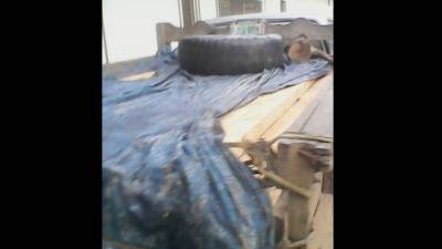 Fusina logró incautar 400 pies de madera de pino ilegal.