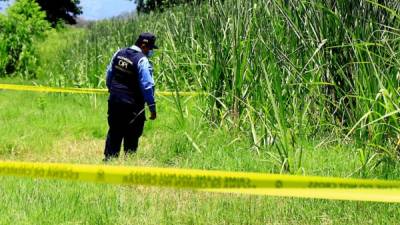 El hombre muerto estaba en unas cañeras.