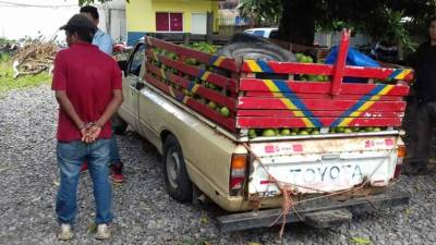 Detenidos en La Ceiba, Atlántida.
