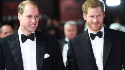 Los príncipes de Inglaterra, William y Harry.