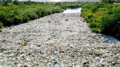 A las aguas residuales se suman las grandes cantidades de basura, en su mayoría plásticos que vienen desde San Pedro Sula y algunas colonias de La Lima. El problema ambiental ha empeorado.Fotos: José Cantarero