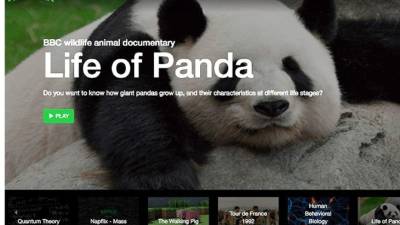 Los fundadores de 'Napflix' colocan a sus usuarios videos relajantes.