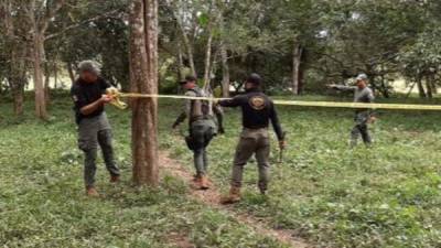 La Seguridad Pública localizó la fosa clandestina en Playa Vicente, Veracruz.