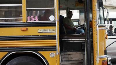 El transporte público renovará unidades.