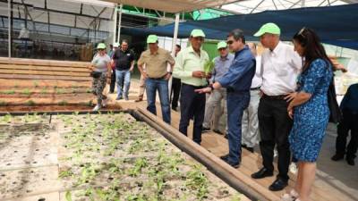 El presidente Hernández visitó la granja orgánica Green 2000 junto con otros funcionarios de su Gobierno.
