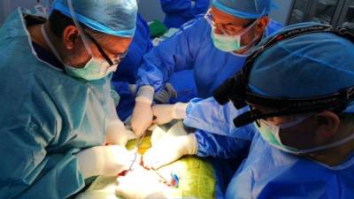 El equipo de nefrólogos practicó el viernes 16 de febrero el primer trasplante renal del año en una paciente de 17 años, el órgano lo donó su madre.
