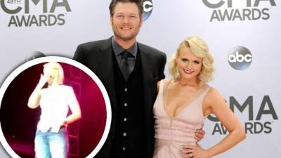 Blake Shelton y Miranda Lambert anunciaron recientemente su divorcio. La cantante rompió en llanto en pleno escenario el sábado.