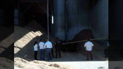 El hecho ocurrió ayer en un beneficio de arroz, en el municipio de Choloma.