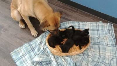 Una publicación de Instagram escrita a nombre de Serenity asegura que es joven y enérgica.