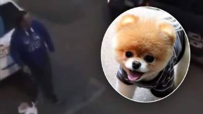 El video viral fue reproducido más de 50 mil veces en Twitter.