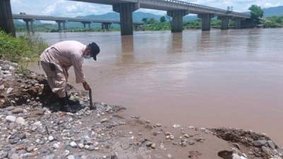 El caudal del río Ulúa se mantiene en su estado normal.