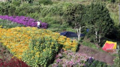 Fotografía del 30 de octubre de 2019 de campesinos sembrando flores en una ladera en el municipio de Santa Lucia (Honduras). El Banco Centroamericano de Integración Económica (BCIE) emitió un Bono Verde por 375 millones de dólares a un plazo de cinco años, dinero que se utilizará para financiar o refinanciar proyectos de mitigación y adaptación a la crisis climática.