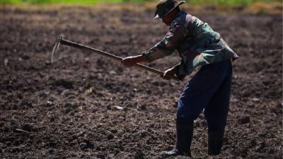 El agro ocupa la sexta posición de destino de la cartera crediticia.