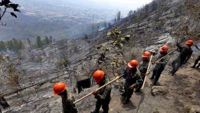Una vez que el fuego se extinguió empezaron las labores de reconocimiento.