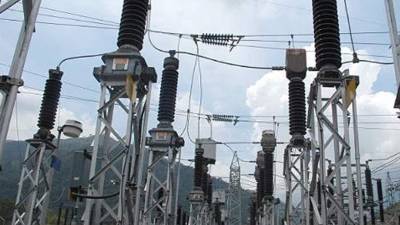 El animal hizo destrozos en una subestación eléctrica en Colombia.