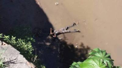 El hombre quedó un buen rato tirado hasta que llegaron las autoridades a rescatarlo.