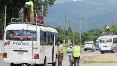 Las unidades de transporte público están siendo revisadas por los agentes municipales.