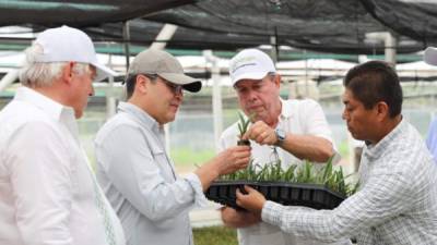 El presidente Hernández recibe explicación de parte de expertos en producción agrícola en México.