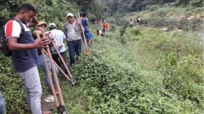 Los árboles son sembrados a la orilla de la cuenca del río Tulián, principal afluente que abastece de agua los porteños.