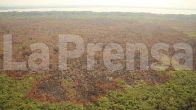 Cinco días duró el incendio en el parque.