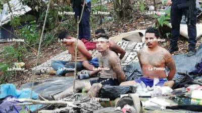 La Policía detuvo a cuatro supuestos pandilleros de la MS13.