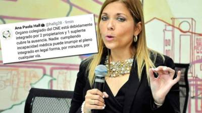 La consejera Ana Paola Hall se ausentó por afectaciones en su salud.