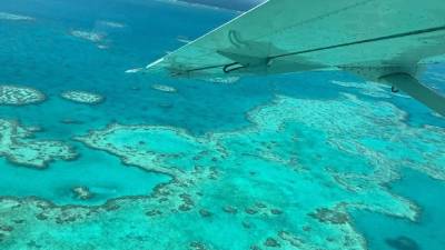 La Gran Barrera de Coral sufre el tercer blanqueamiento y el más masivo en cinco años.