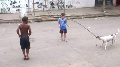 Un grupo de niños se divierte jugando al lazo con un perro.