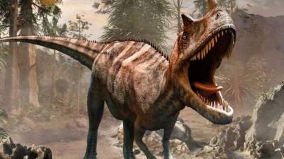 El descubrimiento marca un punto de inflexión tanto por su enorme tamaño.