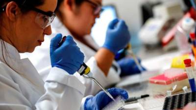 Científicas brasileñas trabajan en el laboratorio de Inmunología del Instituto del Corazón (Incor) de la Facultad de Medicina de la Universidad de Sao Paulo.