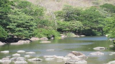 Según la Fiscalía, se violentó el convenió 196 de la Organización Internacional del Trabajo.
