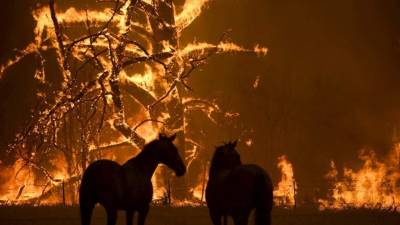 Lo que queda de la casa de Justin Kam y Helena Wong en Balmoral, Australia, en foto del 7 de enero del 2020. La vivienda era a prueba de incenidos, pero fue devorada por llamas de hasta 60 metros que están causando estragos en Australia. (AP Photo/Rick Rycroft)