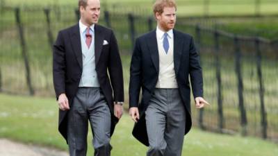 Los príncipes William y Harry de Gales.