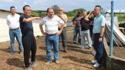 El alcalde Allan Ramos y los coreanos supervisan trabajos en el plantel donde funcionará la maquila.
