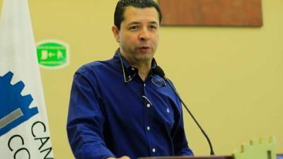 Arnaldo Castillo, titular de la SDE.